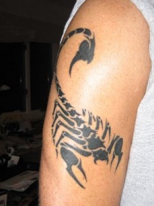 Tribal Scorpion Tattoos Scorpion tattoo? - Reptile Forums